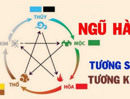 Phong thủy là gì: Kiến thức phong thủy khoa học chi tiết