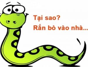 Rắn Vào Nhà Đánh Con Gì? Nguyên Nhân Và Ý Nghĩa Khi Rắn Vào Nhà